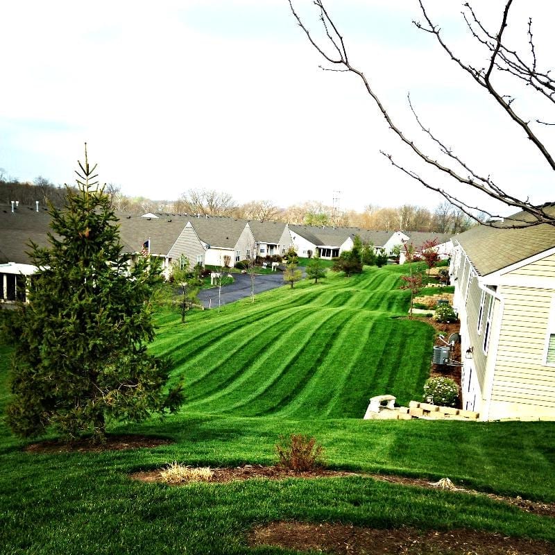 Lawn Care Ohio Green Works LLC Professional Landscape Services Supply Lawn Care Ohio Green Works LLC Professional Landscape Services Supply