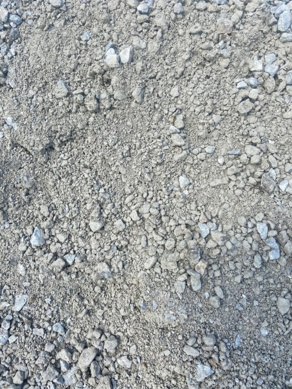 411s Chip & Dust