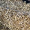 Straw Bale