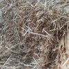 Straw Bale - Image 2