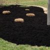 Dyed Black Mulch Premium Bark - Image 3