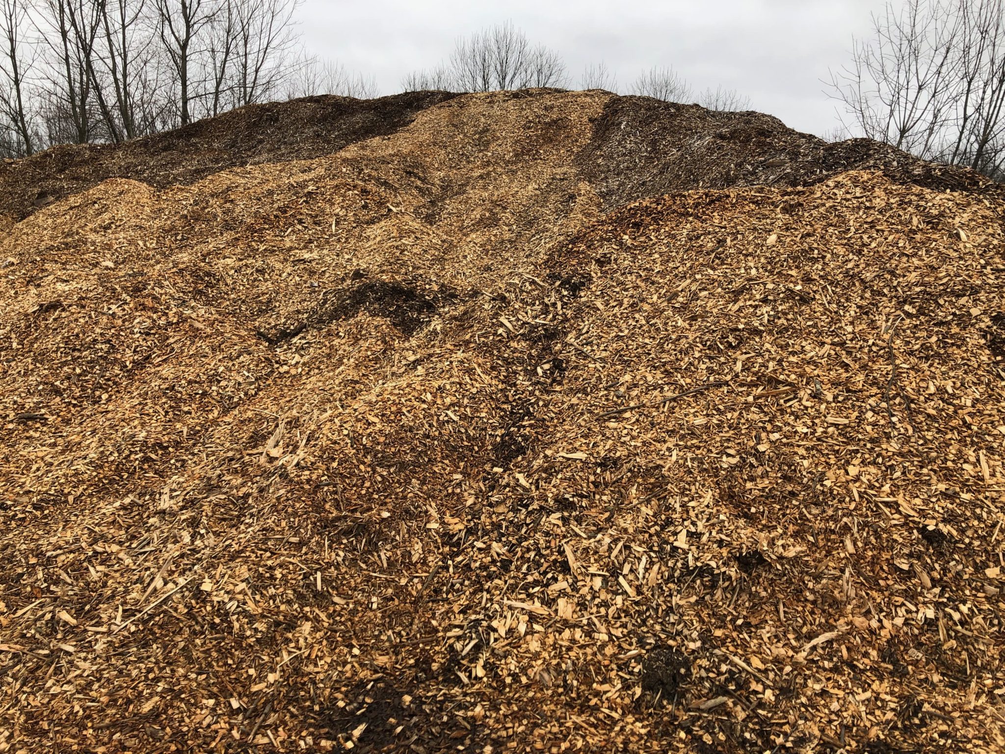 WHY WE USE WOOD CHIPS FOR MULCH - Heritage Flower Farm