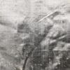 Woven Geo Fabric-Per sqft - Image 2