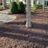 Mulch Premium Bark (Natural Brown) - Image 3